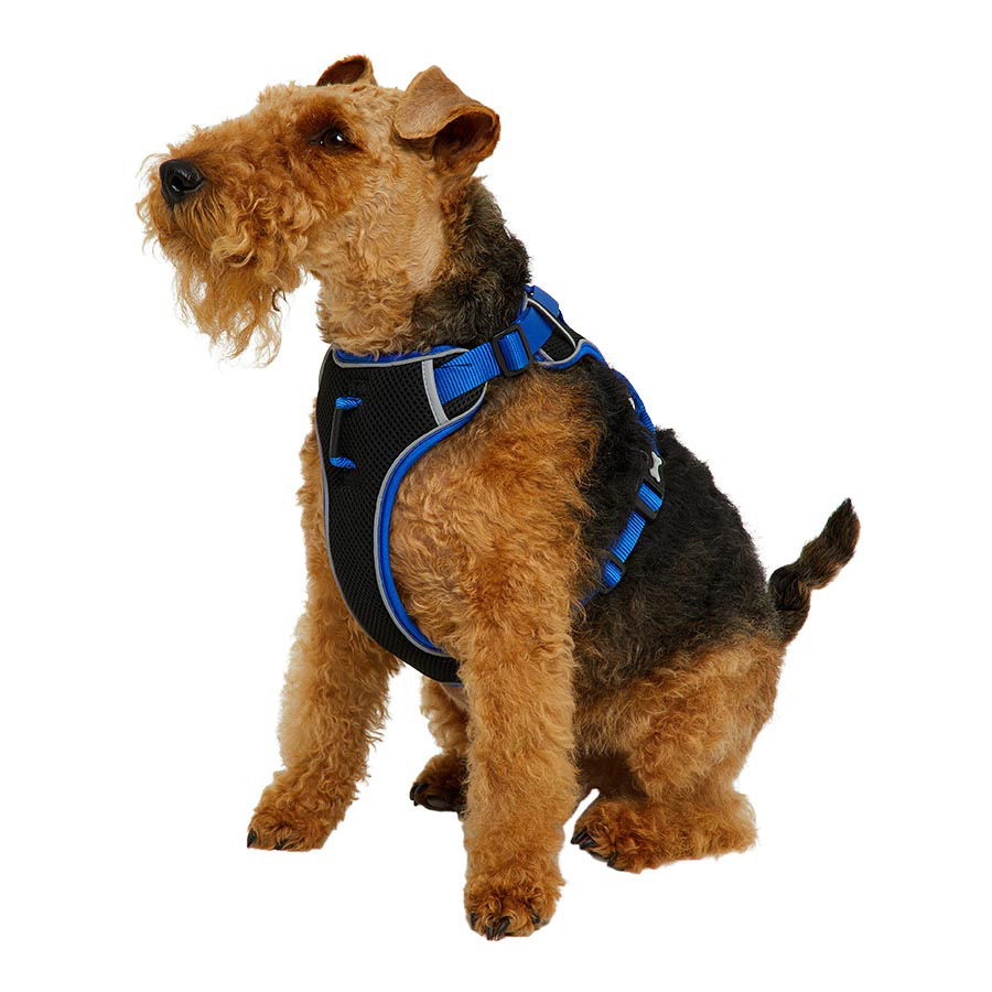 Pets at Home Padded Dog Harness Blue