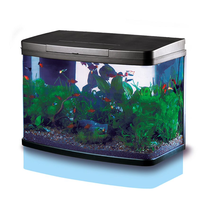 Love Fish Panorama Aquarium Black | Kućni ljubimciLove Fish Panorama Aquarium Black | Kućni ljubimci  