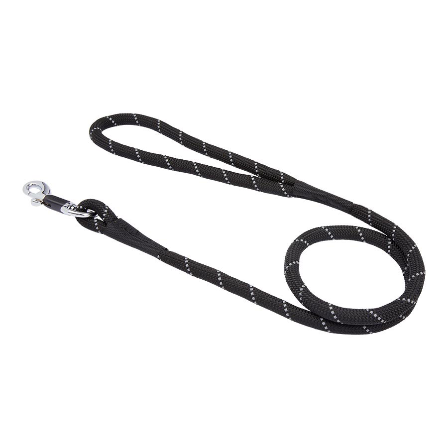 Dog leads pets at home fashion