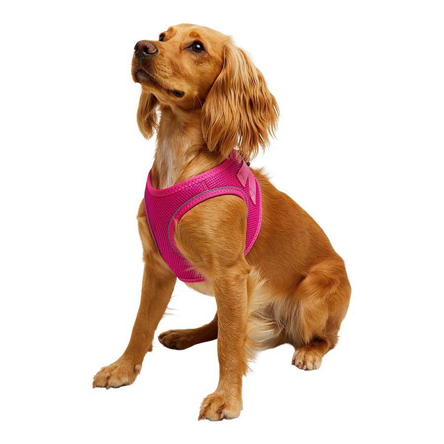 No pull dog harness pets at home best sale