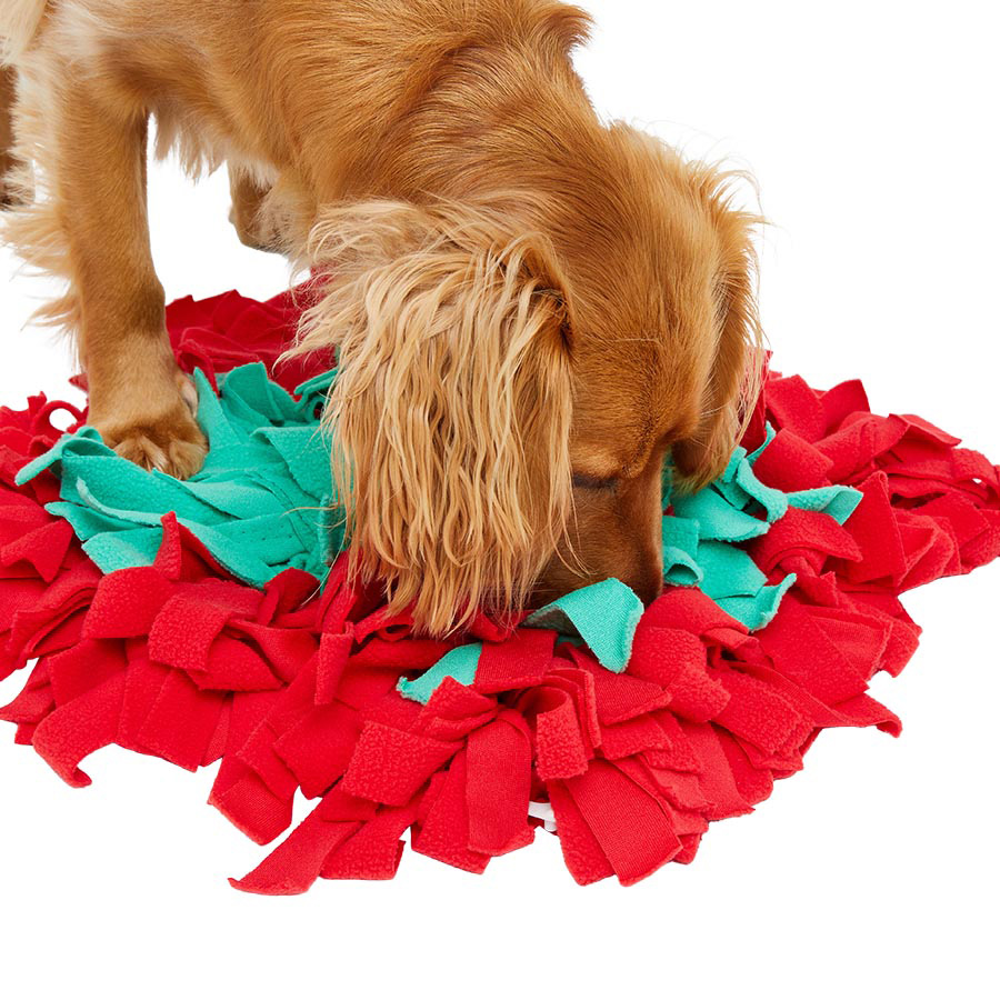 Pets at Home Snuffle Mat Dog Toy Pets