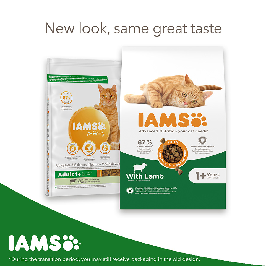 Iams Vitality Adult Dry Cat Food Lamb Pets