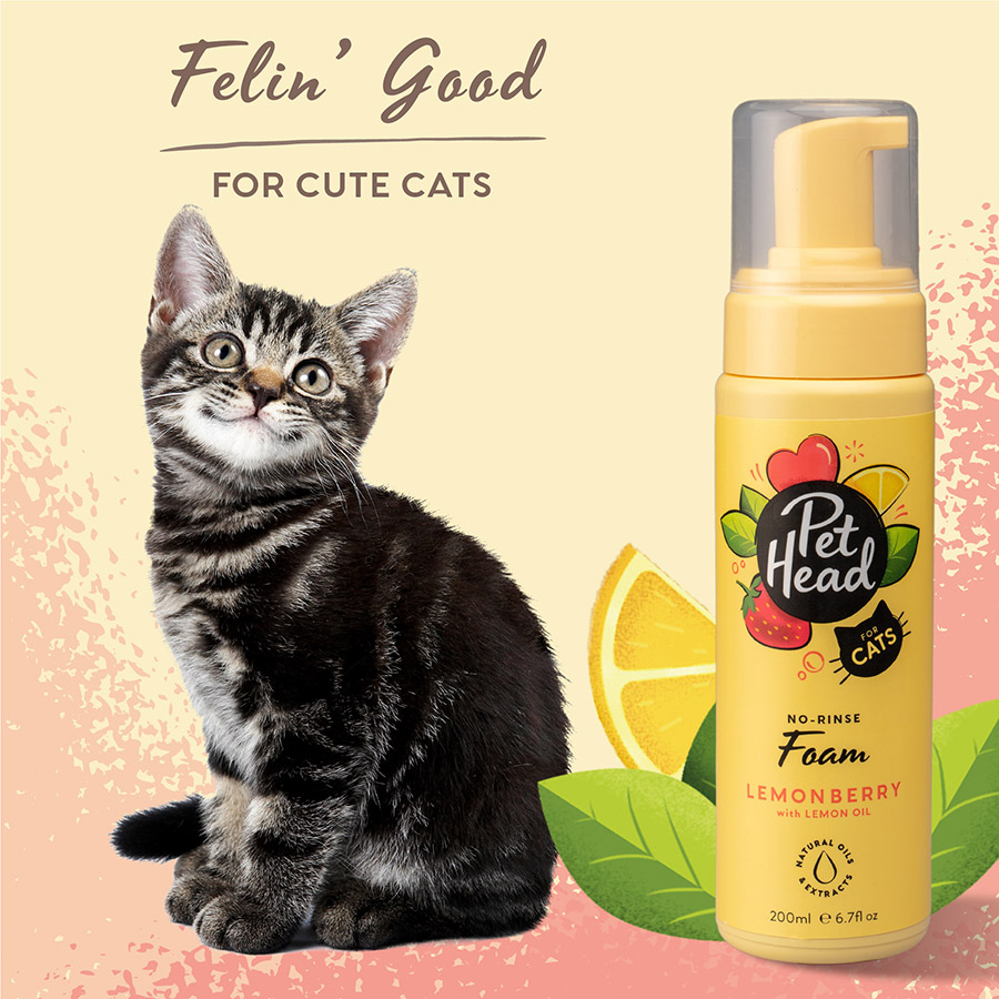 Best smelling cat shampoo best sale