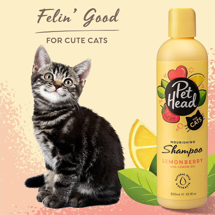 Cat and dog shampoo hotsell