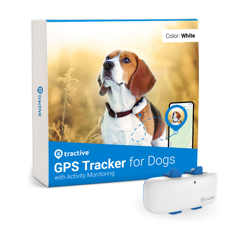 Dog Activity Monitors Pets