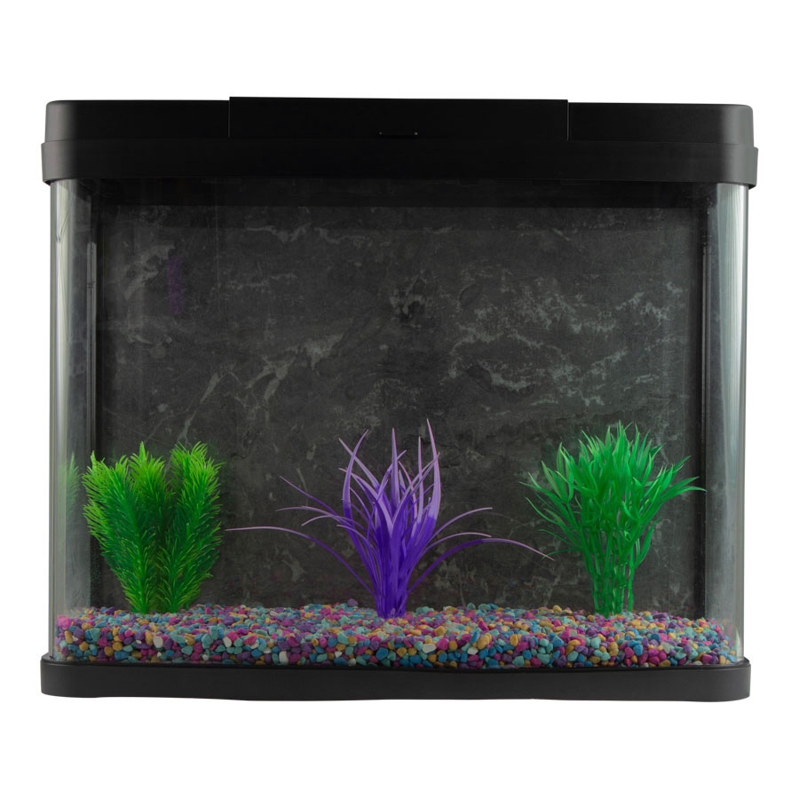 Pets at home fish tank stones best sale