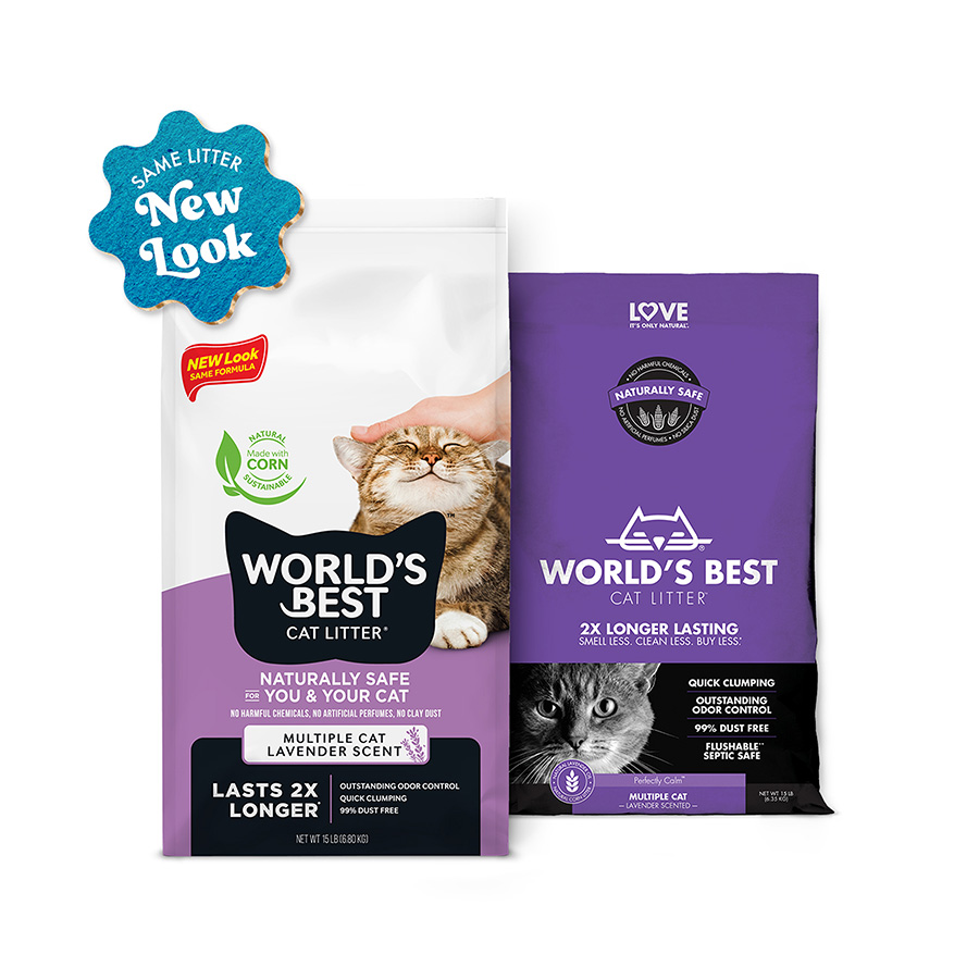 Chewy cat litter best sale