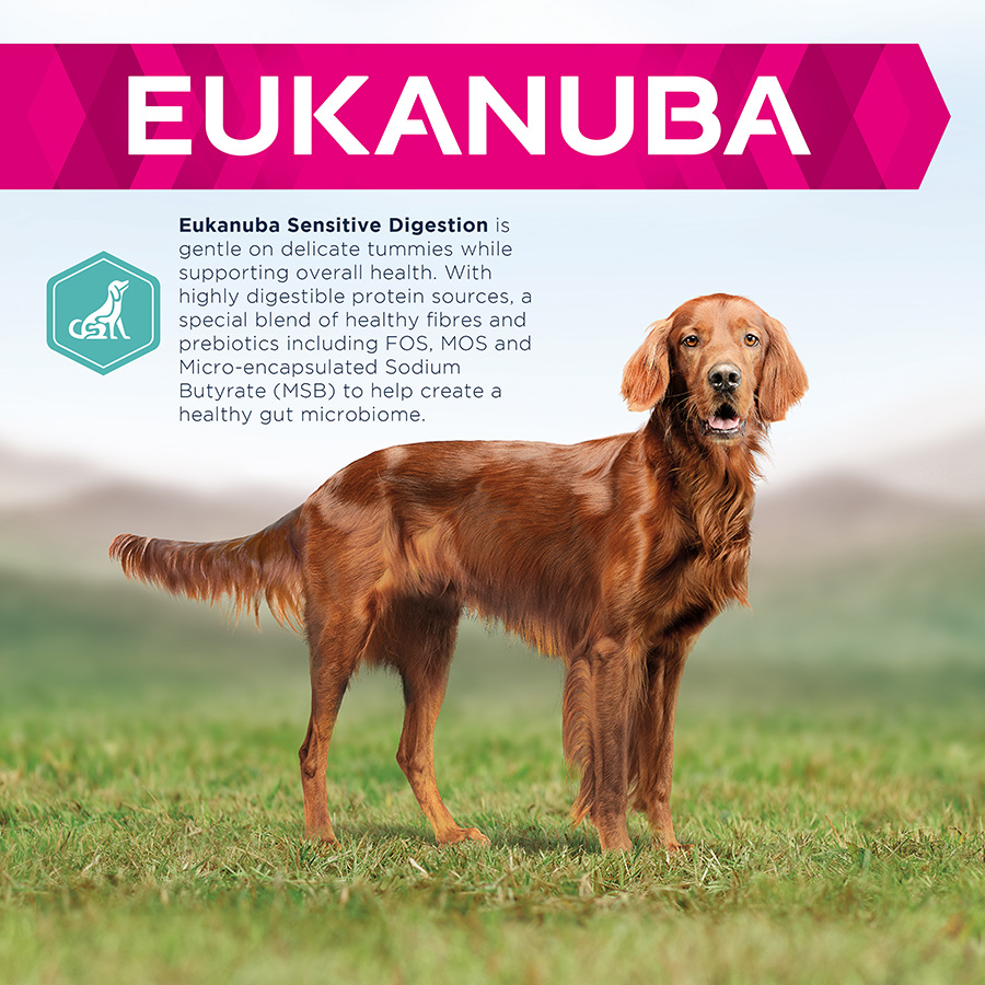 Eukanuba sensitive digestion best sale