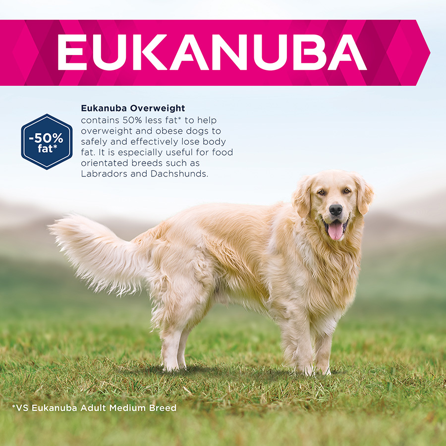 Eukanuba overweight sterilized best sale