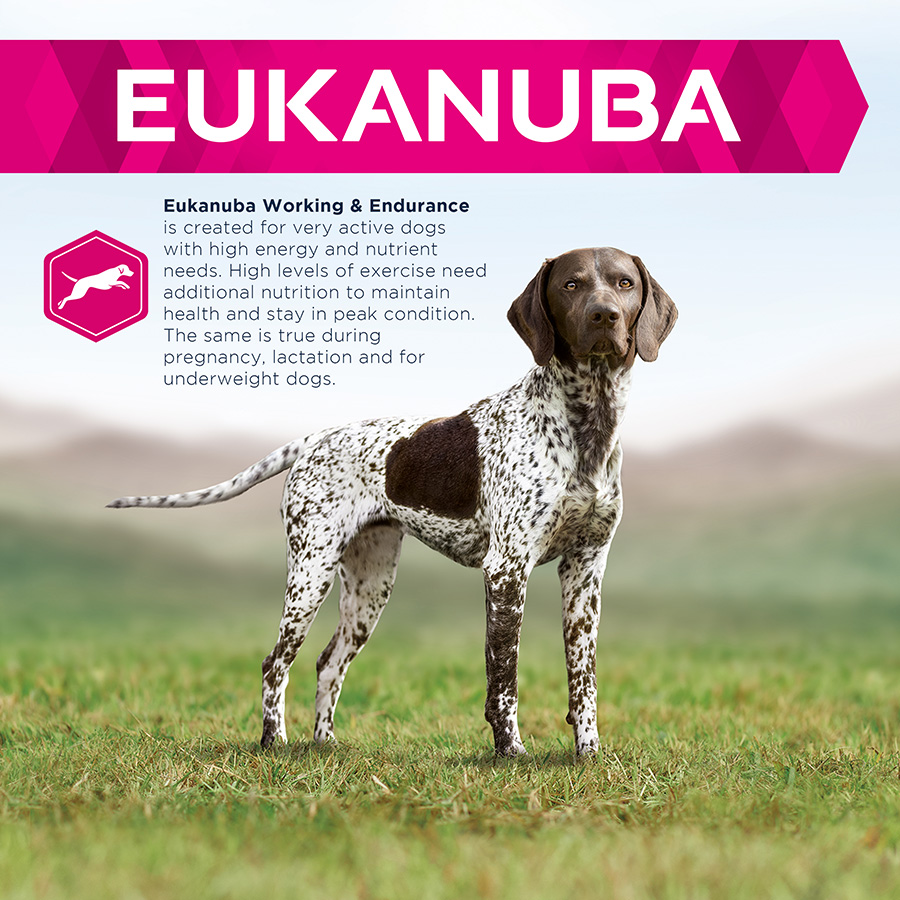 Eukanuba Daily Care Working Endurance Adult Dry Dog Food Chicken Pets