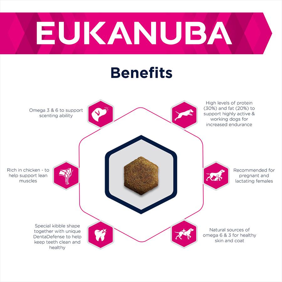 Eukanuba Daily Care Working Endurance Adult Dry Dog Food Chicken Pets