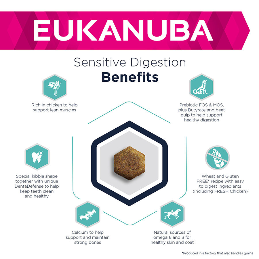 Eukanuba Daily Care Sensitive Digestion Adult Dry Dog Food Chicken Pets