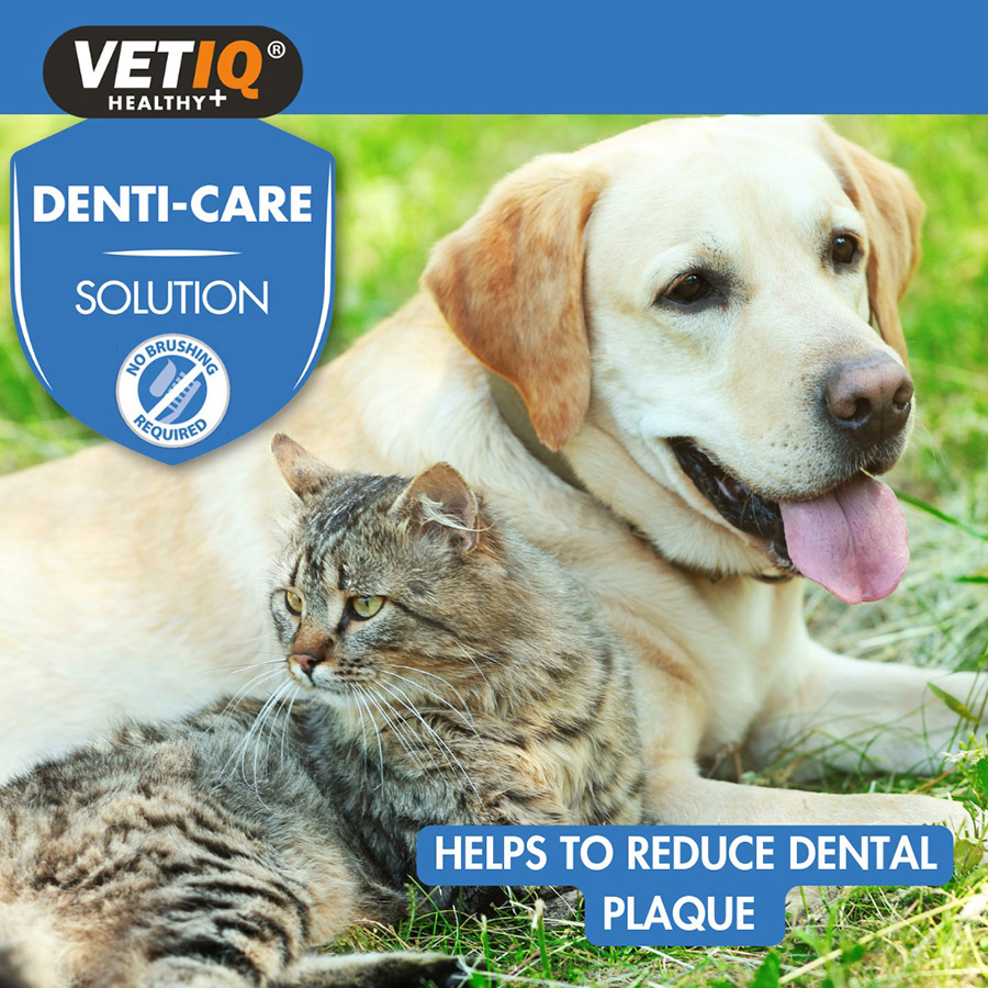 VETIQ Denti-Care Twin Pack For Dogs & Cats – Enzymatic Toothpaste To Fight Tartar, Includes Bamboo Brush & Finger Sleeve