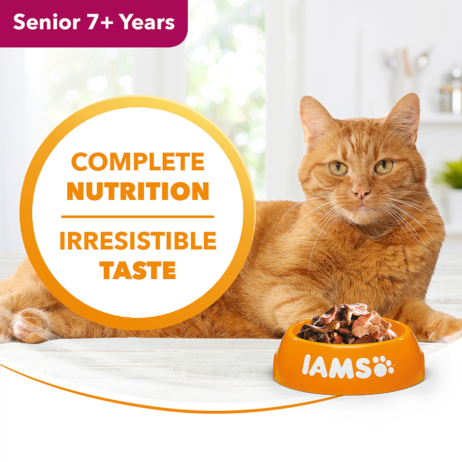 Iams senior wet cat food best sale