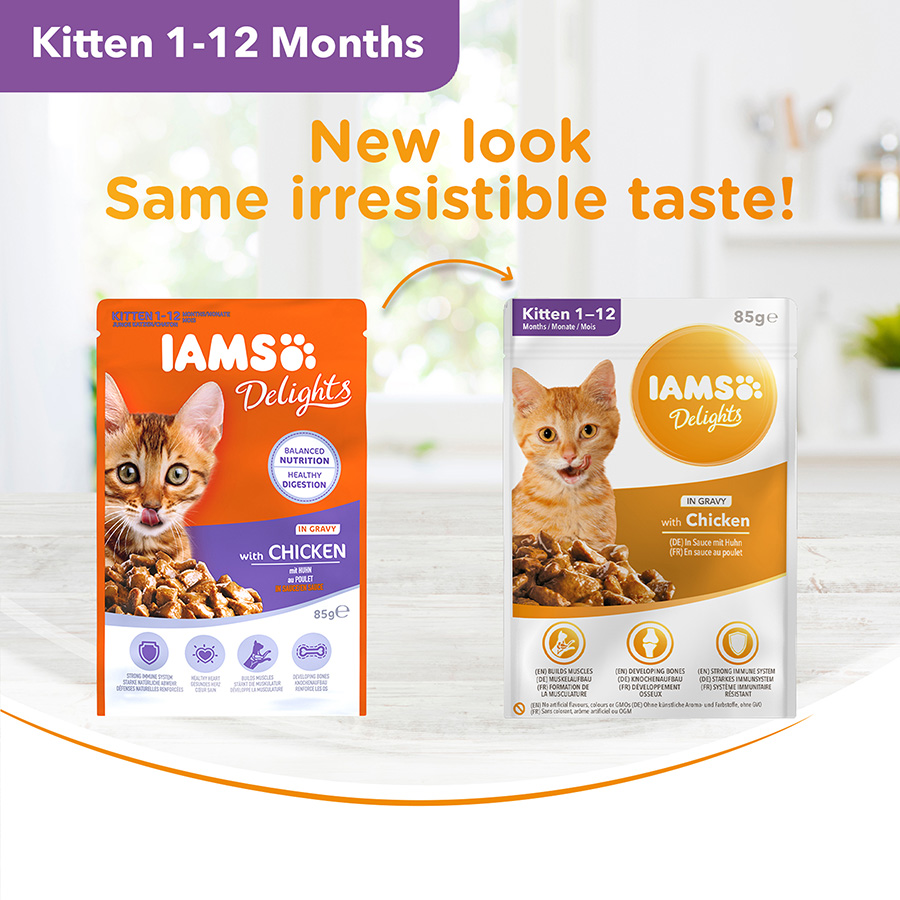 Iams Delights Wet Kitten Cat Food Chicken Gravy Pets