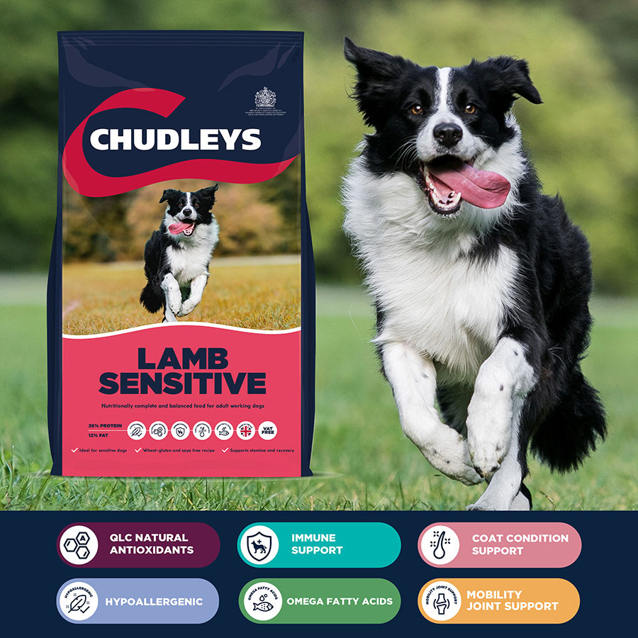 Chudleys hypoallergenic dog food fashion