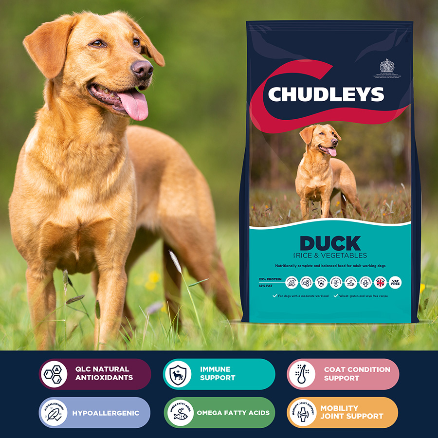 Chudleys hypoallergenic dog food best sale