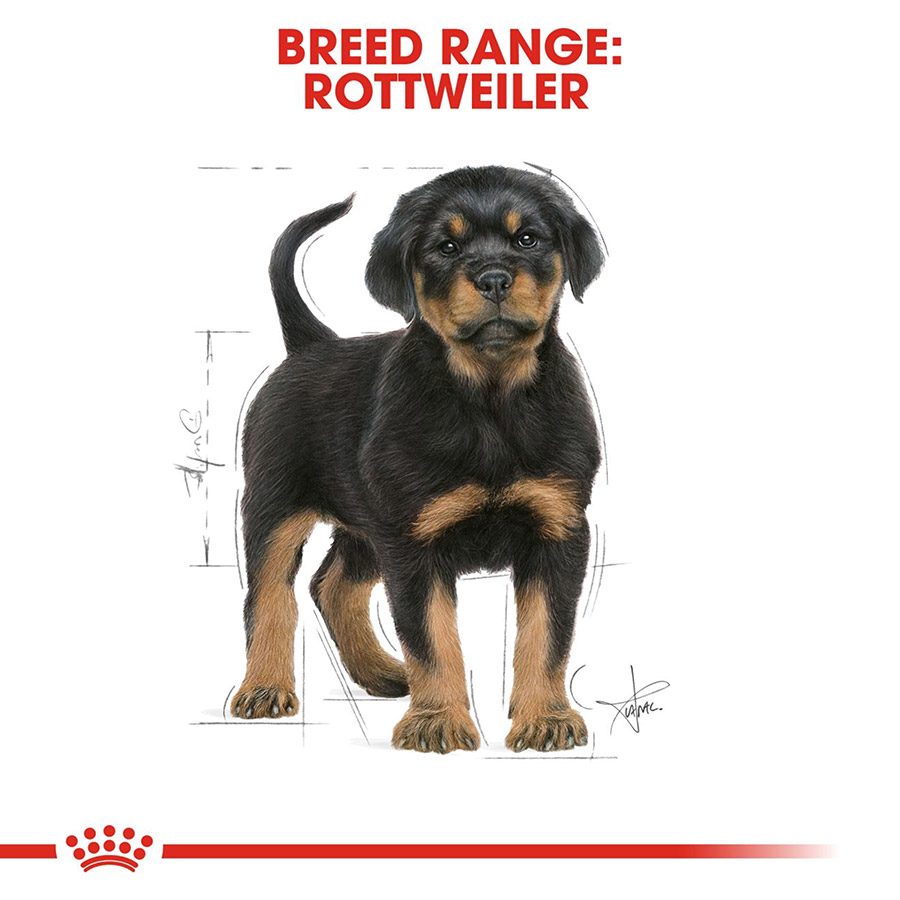 Royal Canin Rottweiler Puppy Dry Dog Food Pets