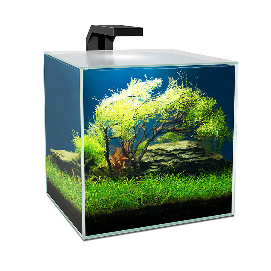 Tropical Fish Tanks Cabinets Pets