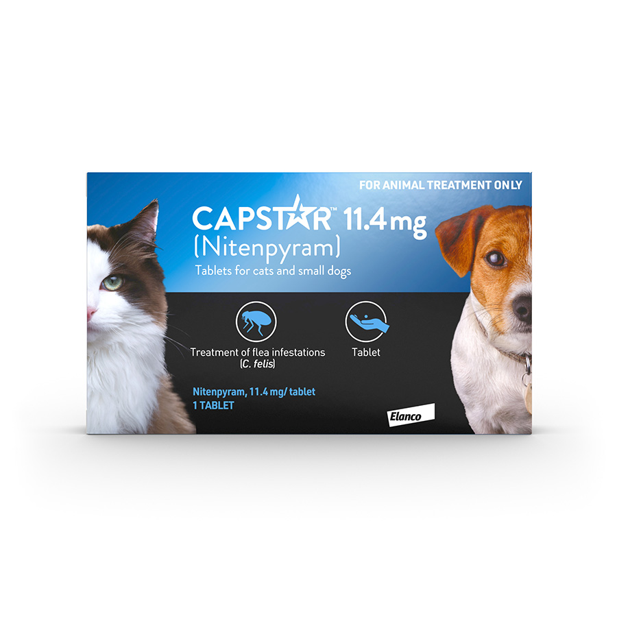 Capstar flea for dogs hotsell