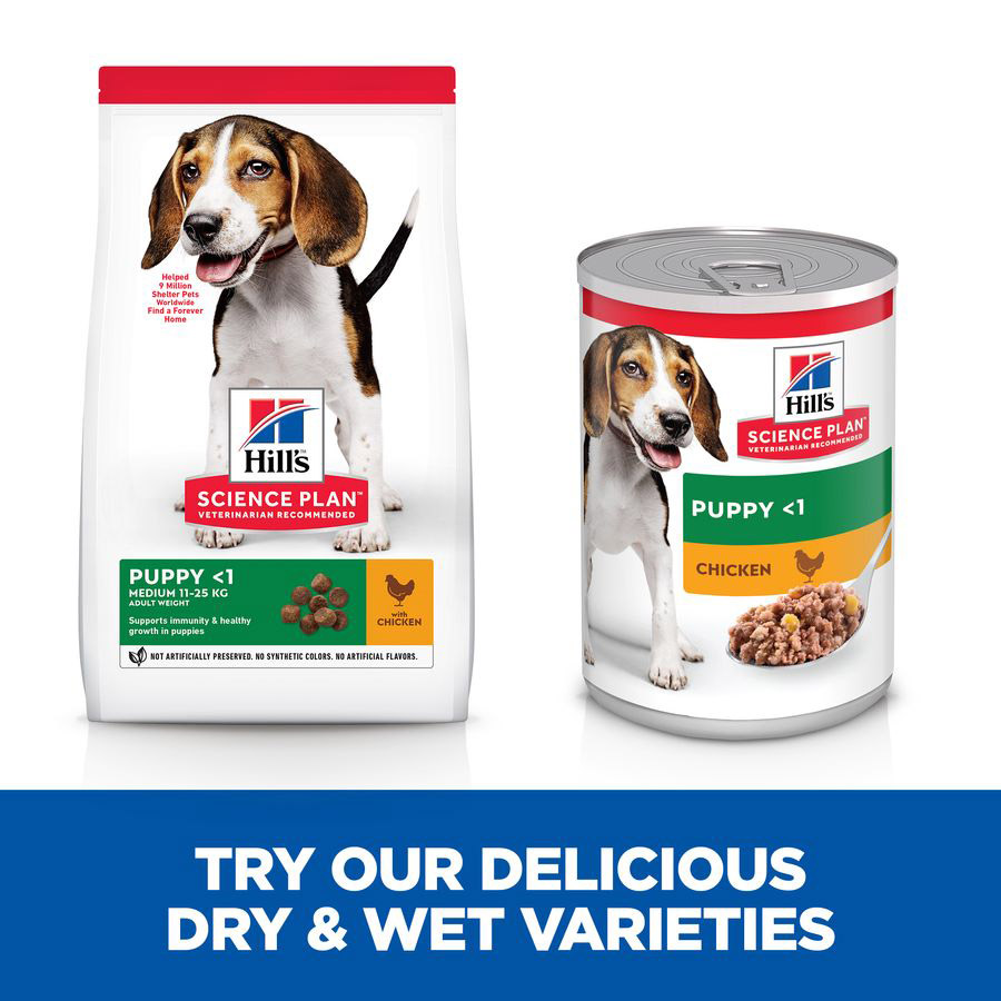 Hills medium breed shops puppy food