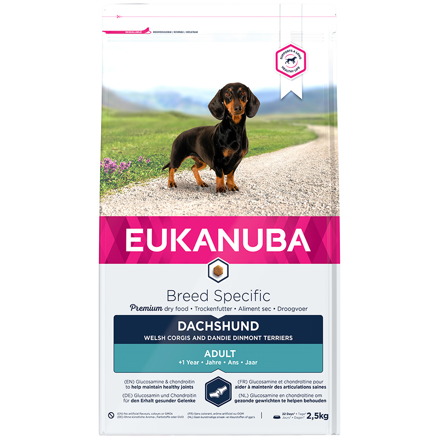 Best vitamins for dachshunds best sale