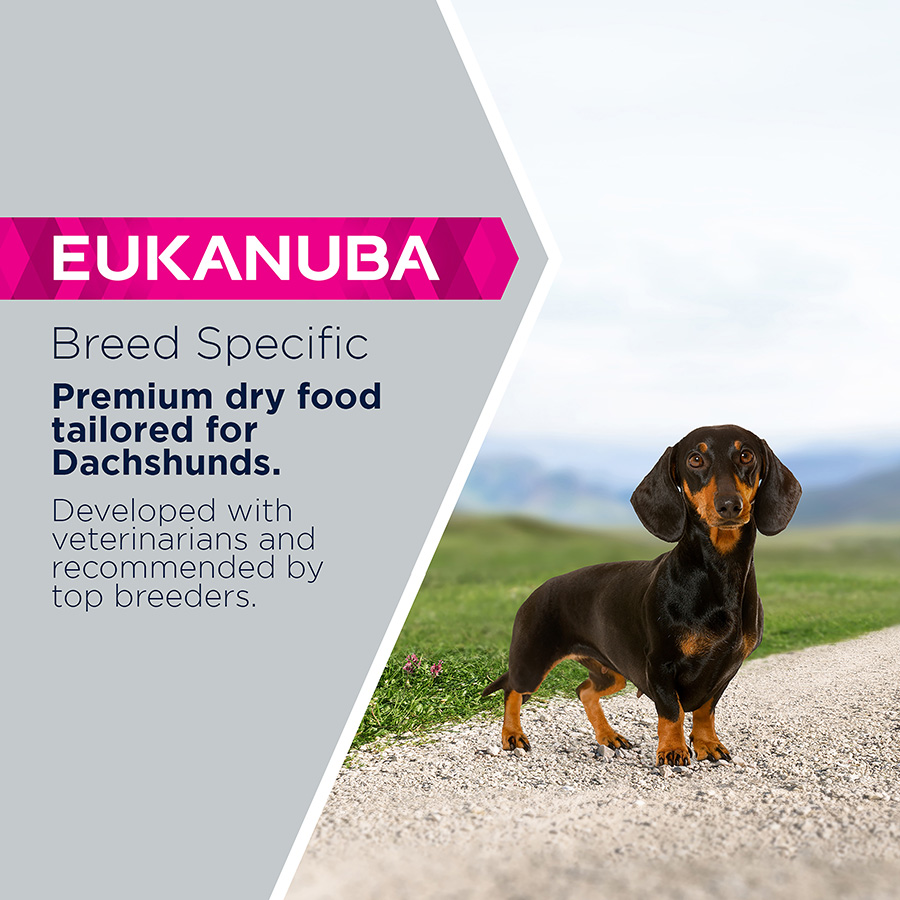 Eukanuba Dachshund Adult Dry Dog Food Chicken Pets