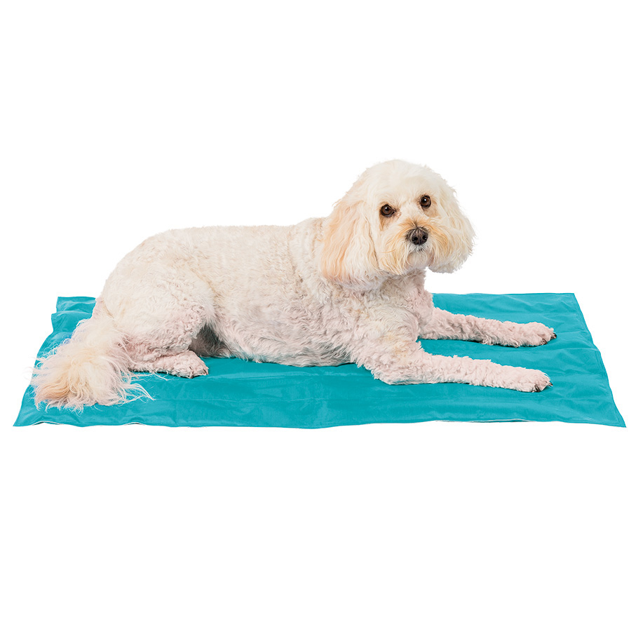 Sunny Daze Cooling Dog Mat Blue Pets