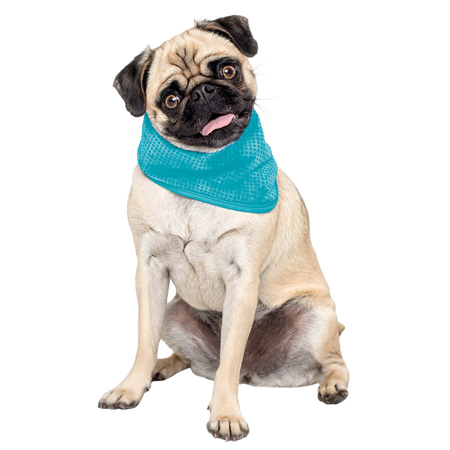 Sunny Daze Cooling Dog Bandana Blue Pets