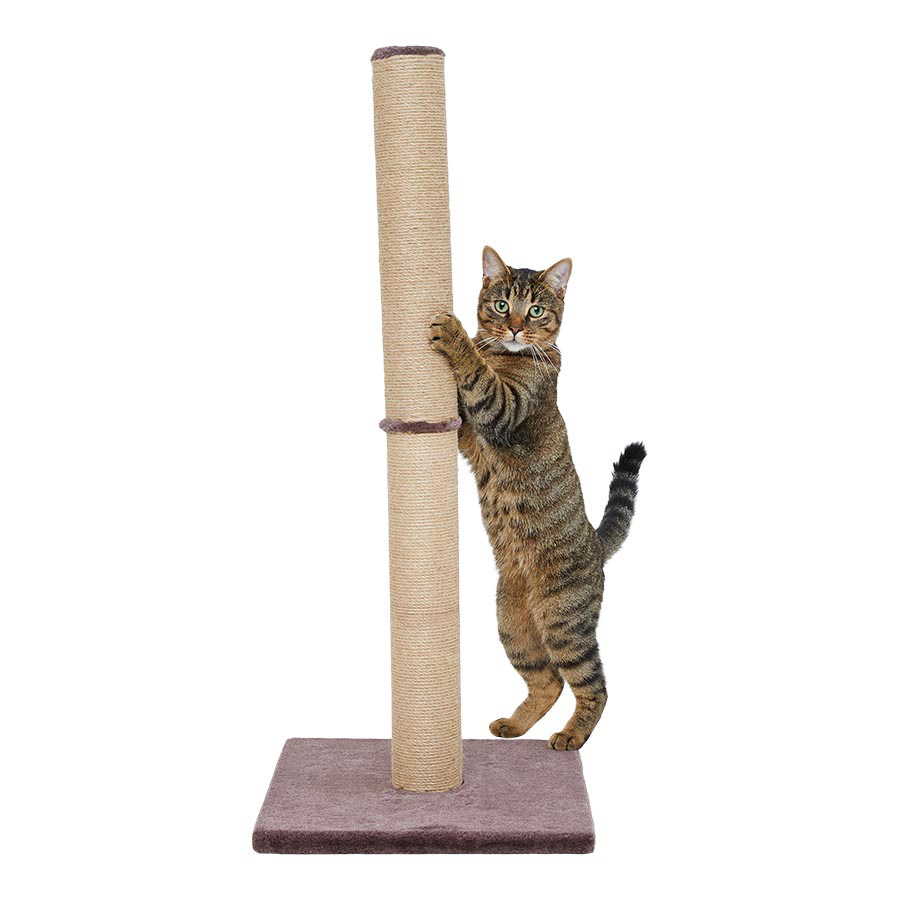 Pets at Home Thompson Tall Cat Scratch Post | Pets