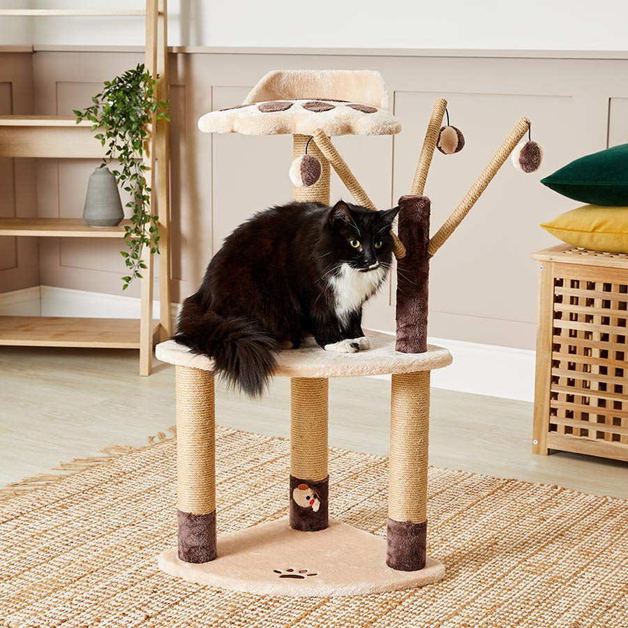 B&m cat scratching post best sale