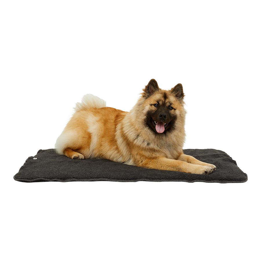 Black dog blanket best sale