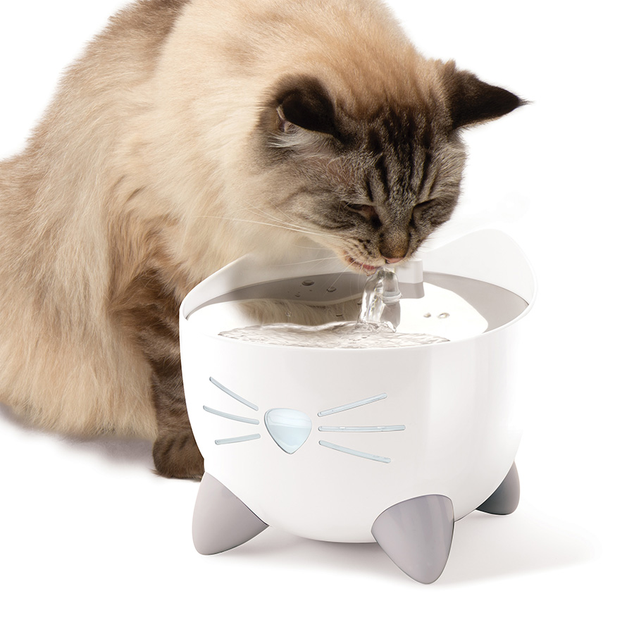 Cat automatic water fountain best sale