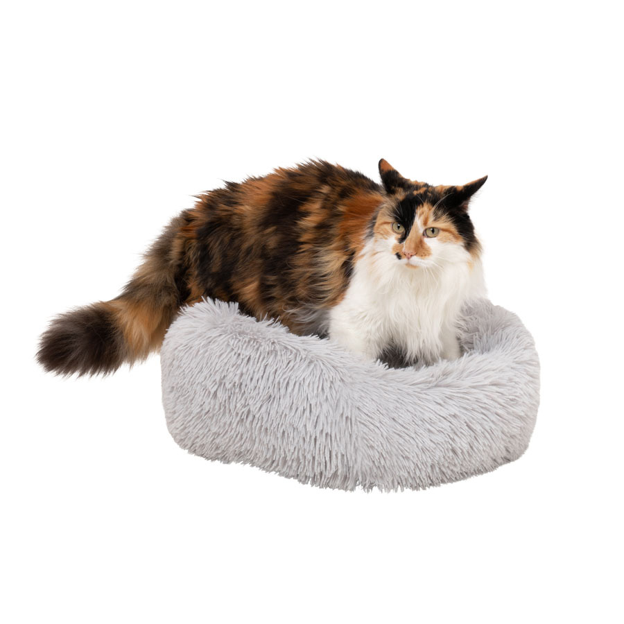 Cat beds pets at home best sale