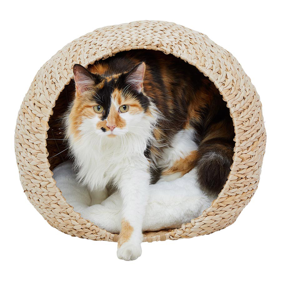 Outdoor cat house pets at home fashion