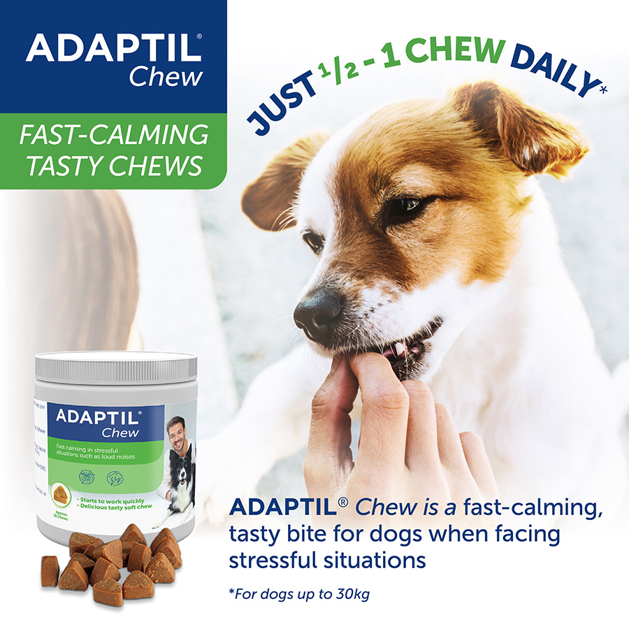 Adaptil Tasty Calming Dog Chew Pets