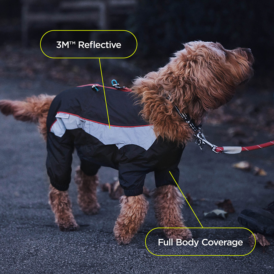 Full dog coat best sale