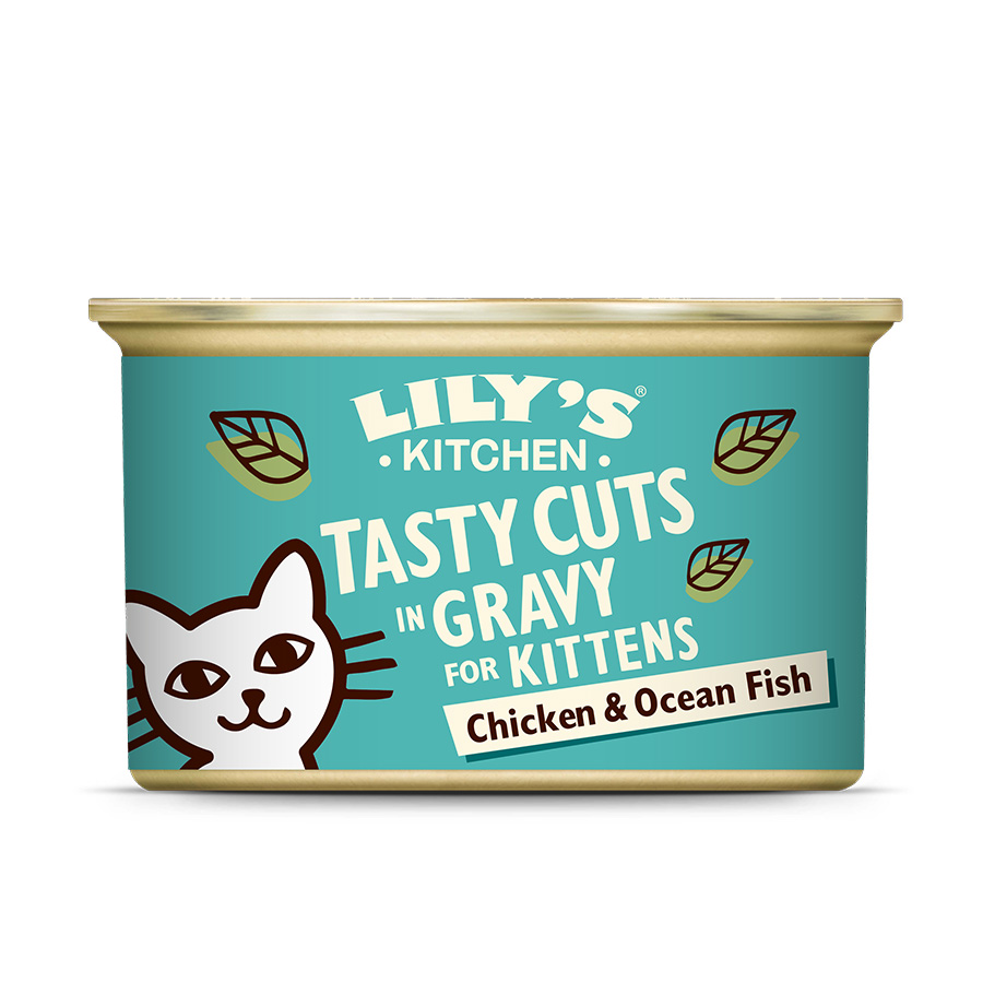 Lily s Kitchen Wet Kitten Food Chicken Ocean Fish in Gravy Pets