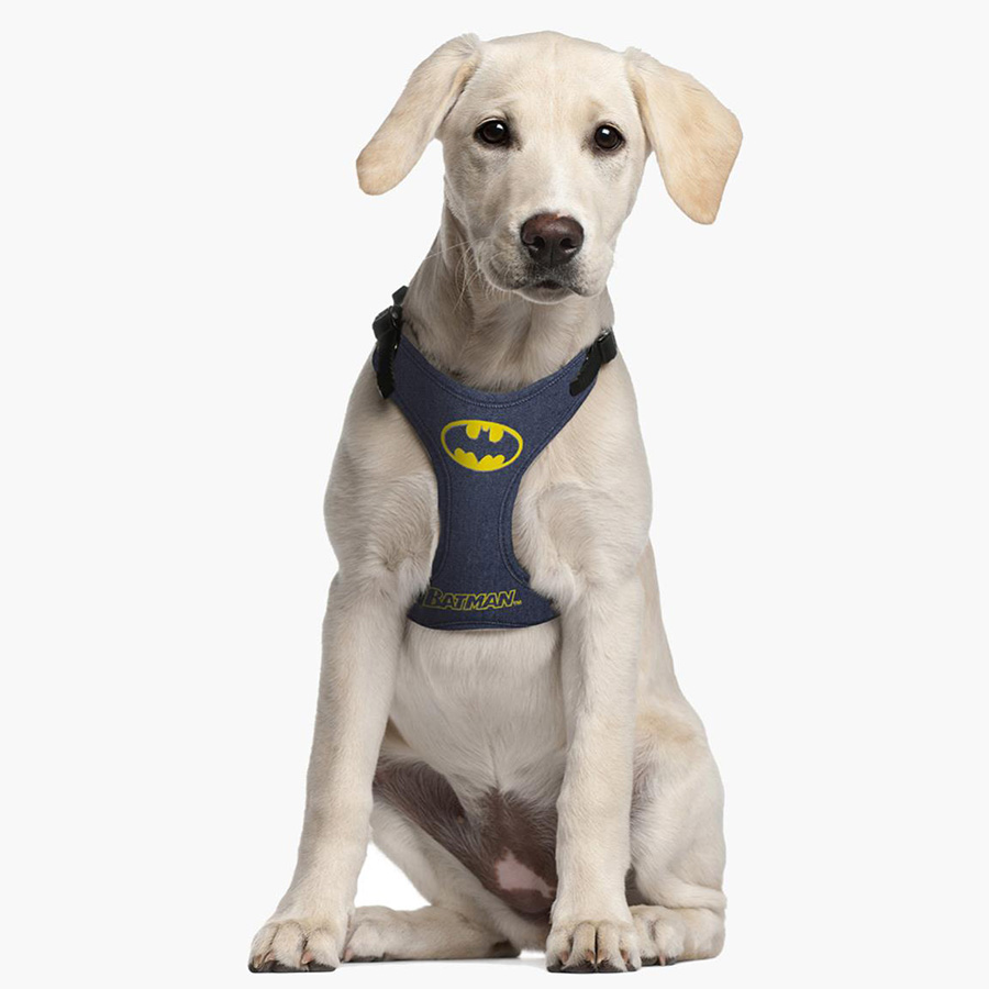 DC Comics Batman Dog Harness Blue Pets