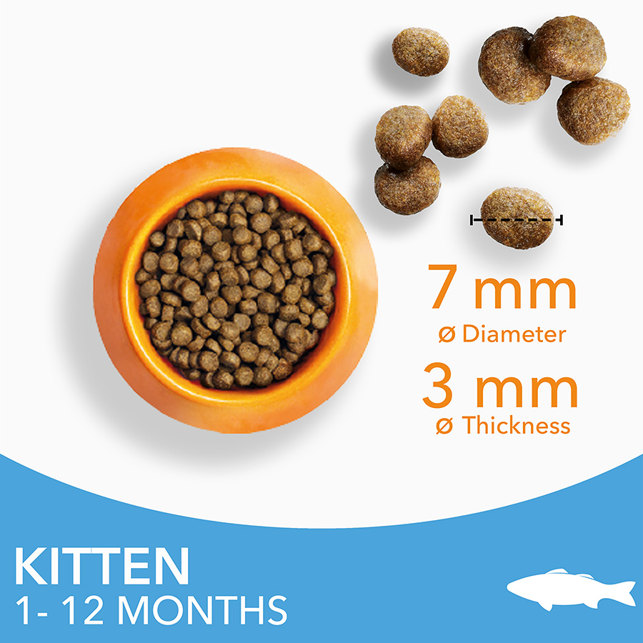 Iams Vitality Advanced Nutrition Kitten Dry Cat Food Ocean Fish Pets