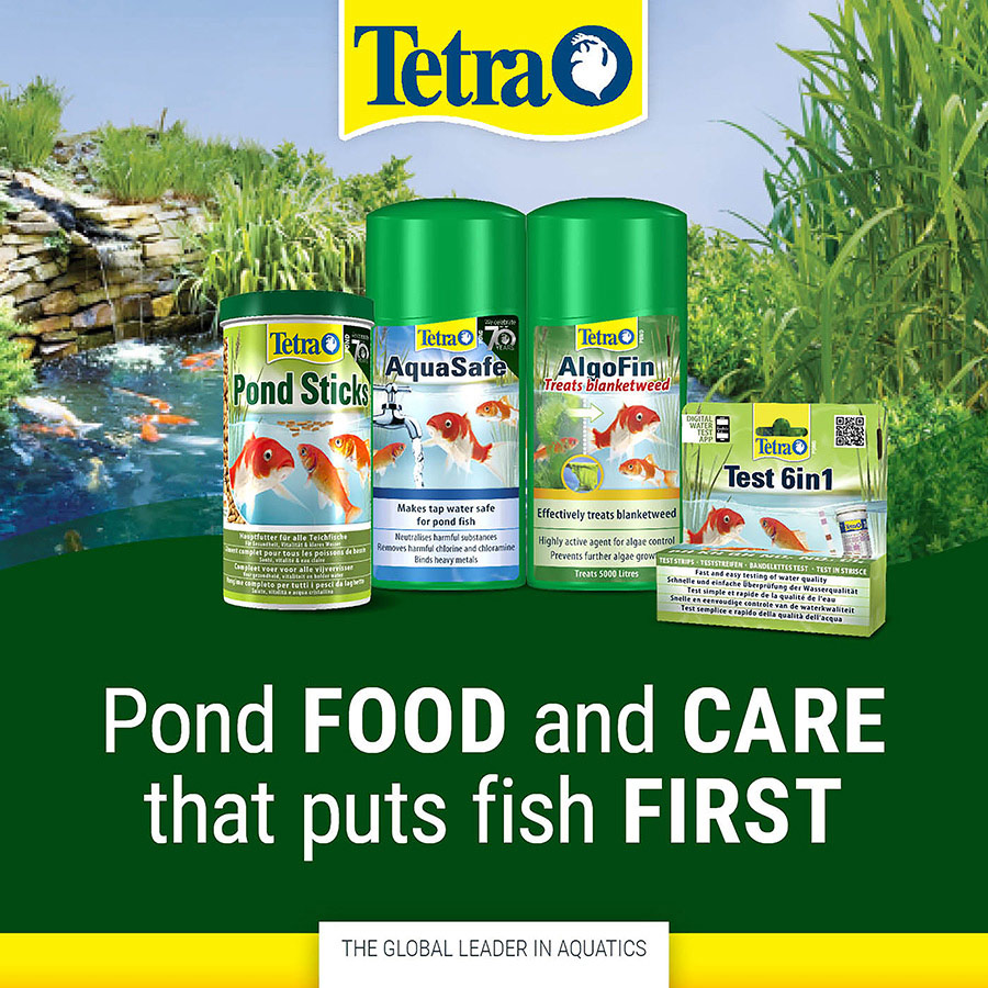 Tetra blanket weed treatment hotsell