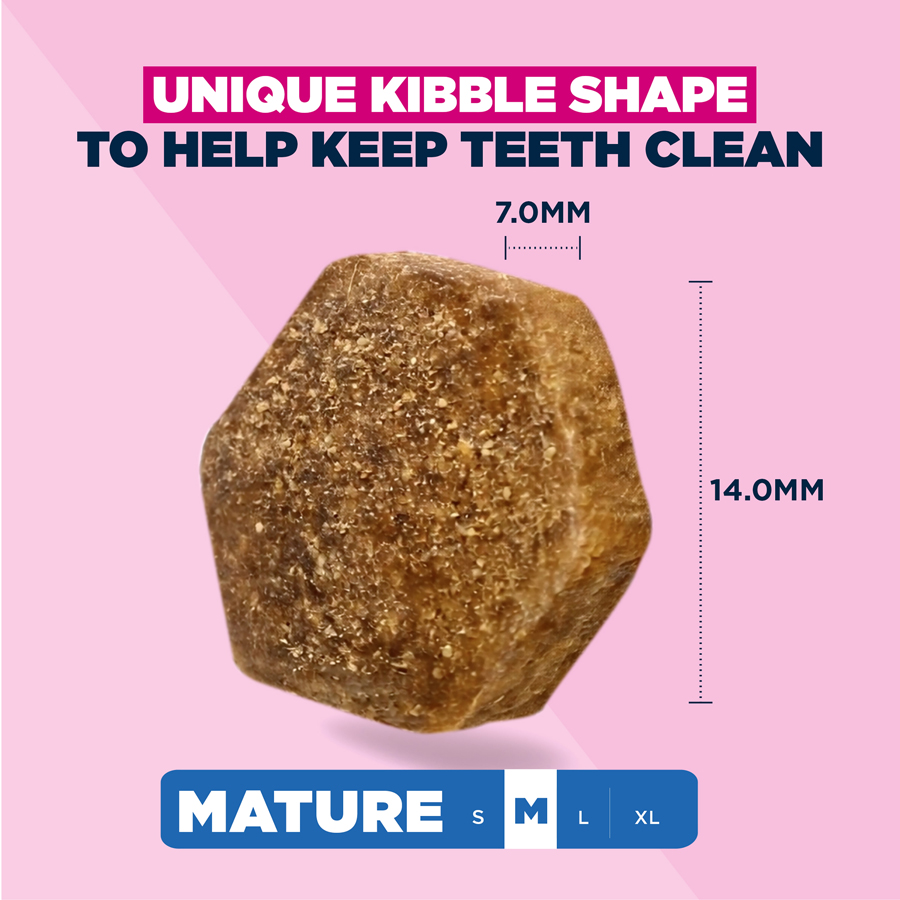 Image slide