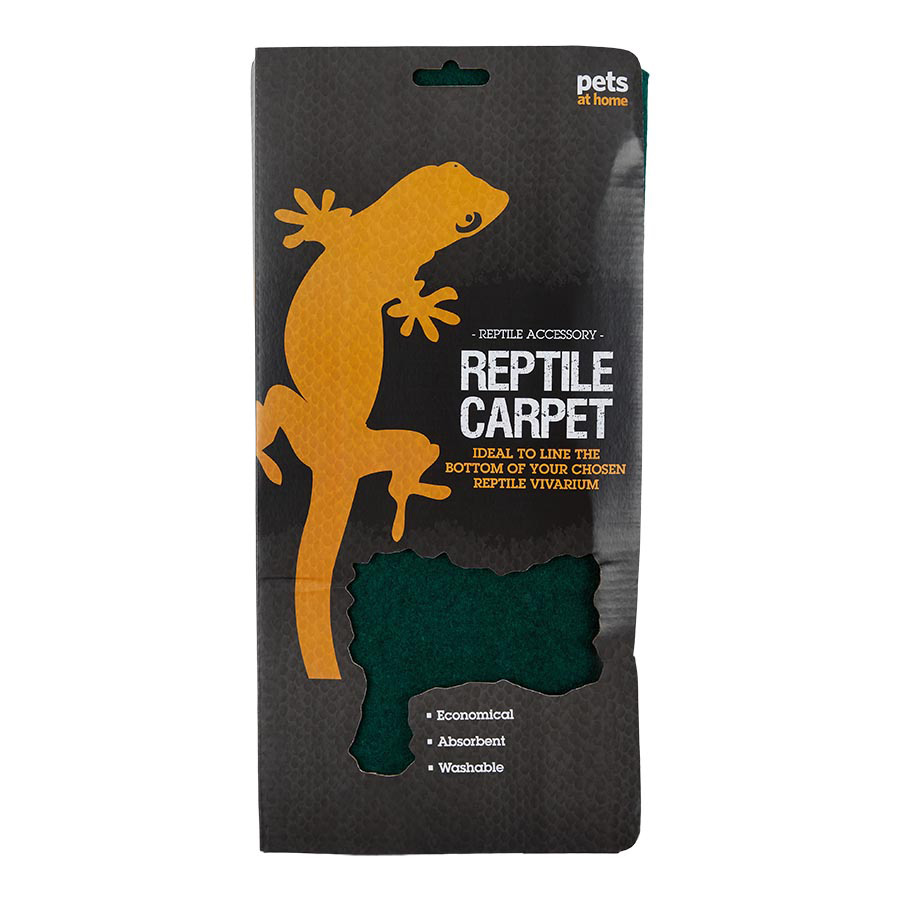 Reptile Pets