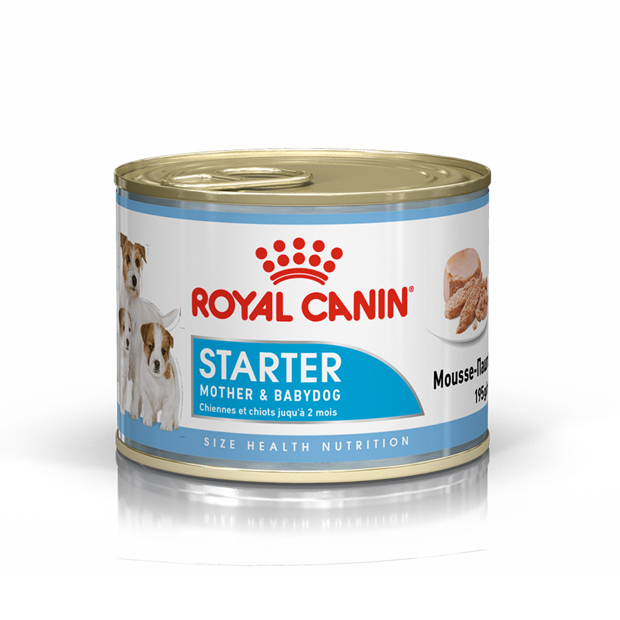 Royal canin fashion puppy food pets at home