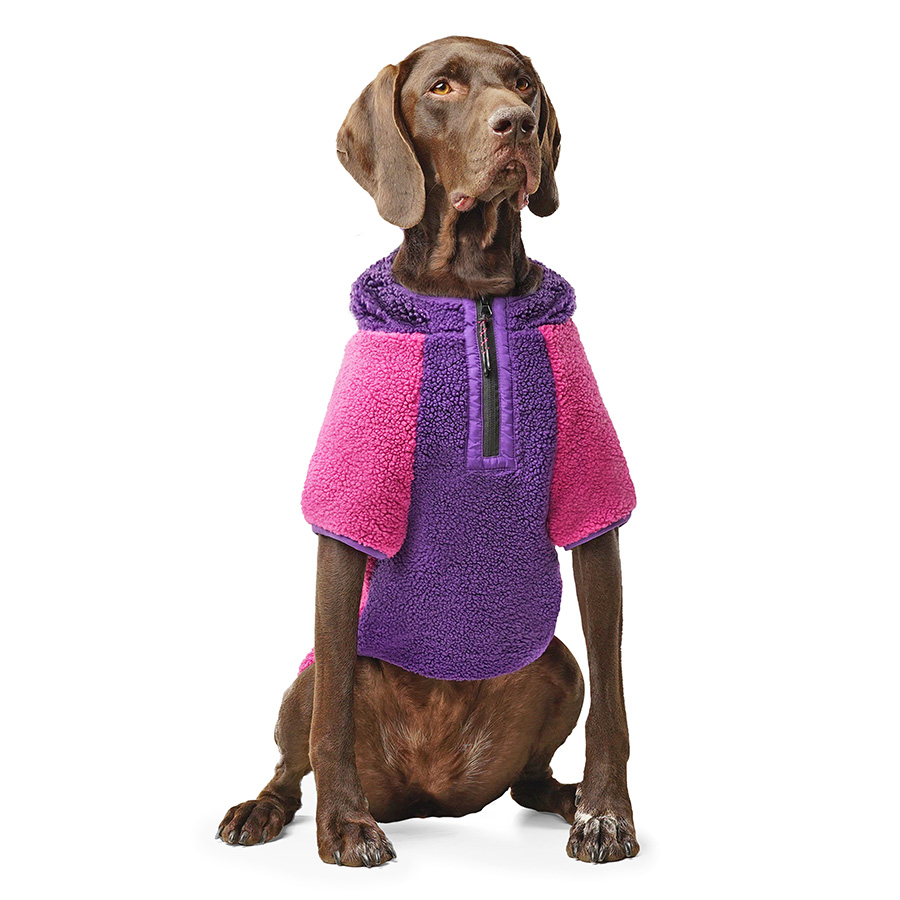 Canada Pooch Cool Factor Dog Hoodie Pink/Purple