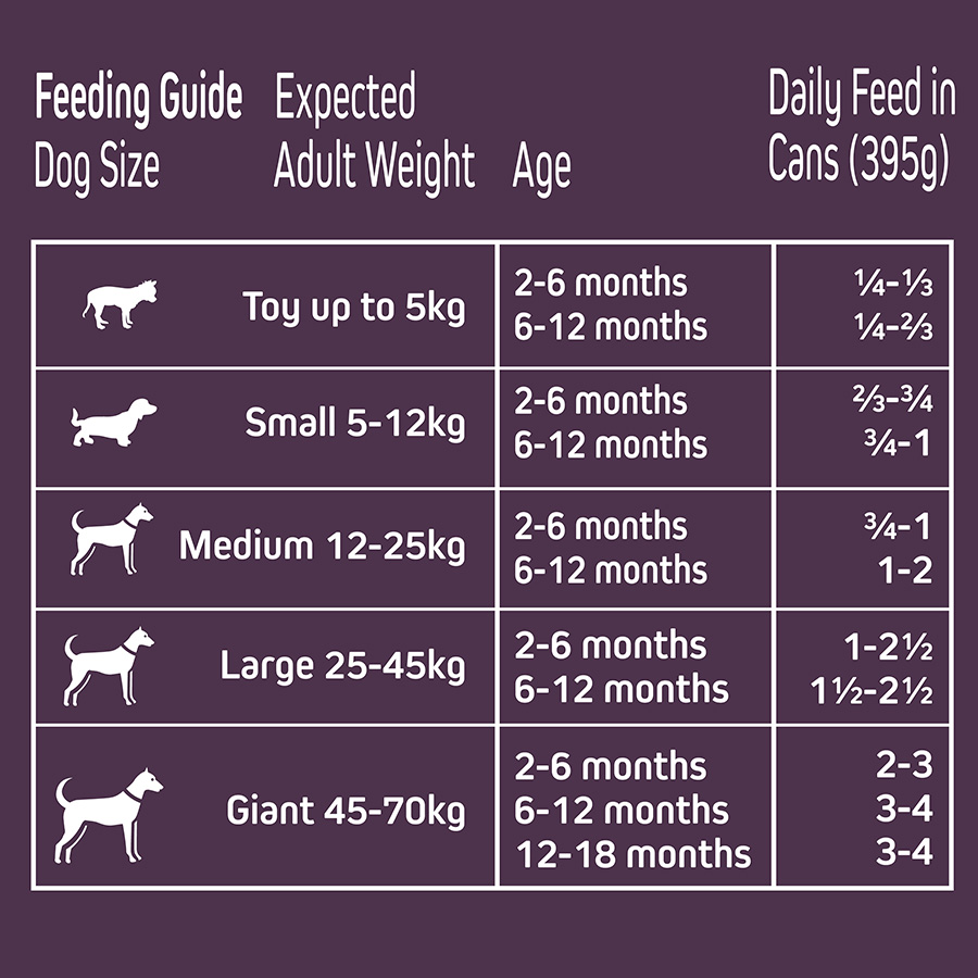 Wainwrights dry feeding fashion guide