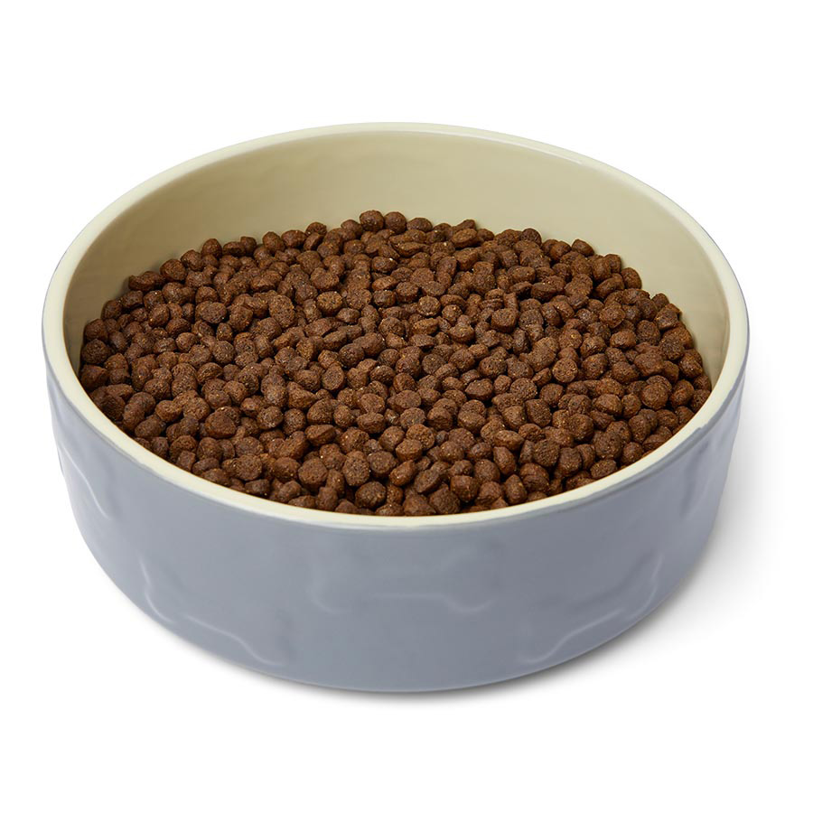 AVA Veterinary Approved Cockapoo Puppy Dry Dog Food Pets