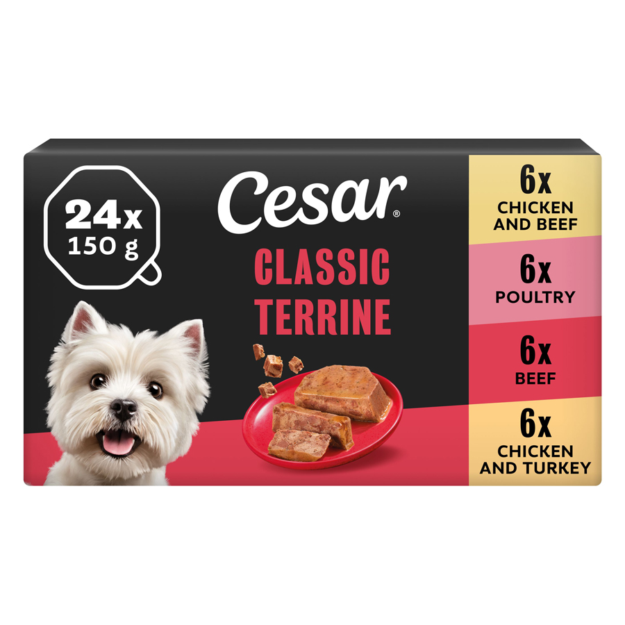 Cesar Classic Terrine Wet Adult Dog Food Mixed Loaf