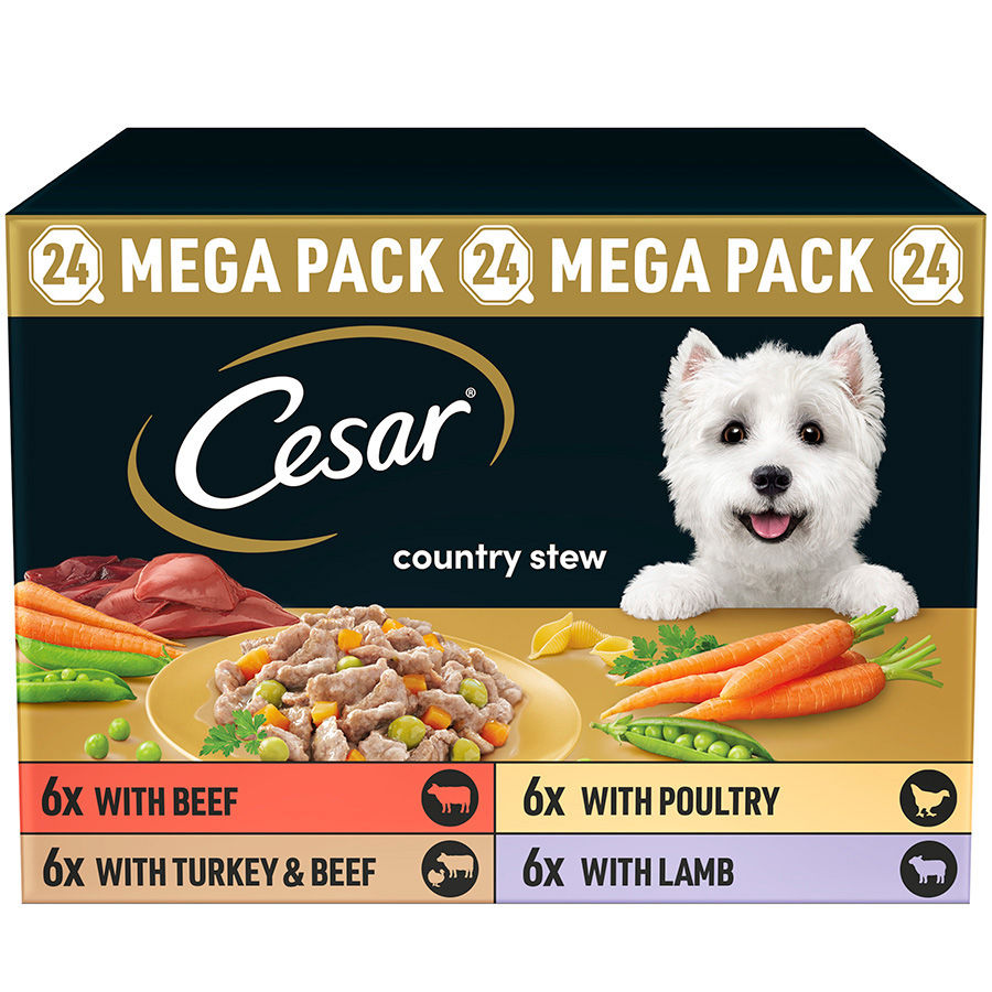 Cesar dog food on sale best sale