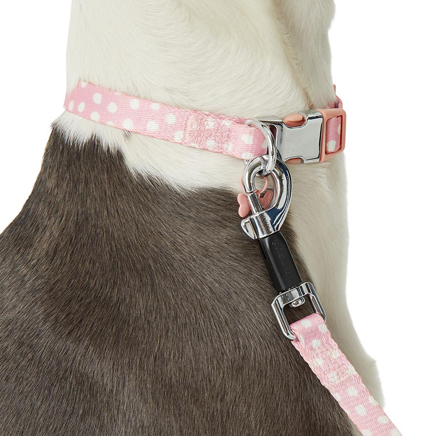 Pretty puppy collars best sale